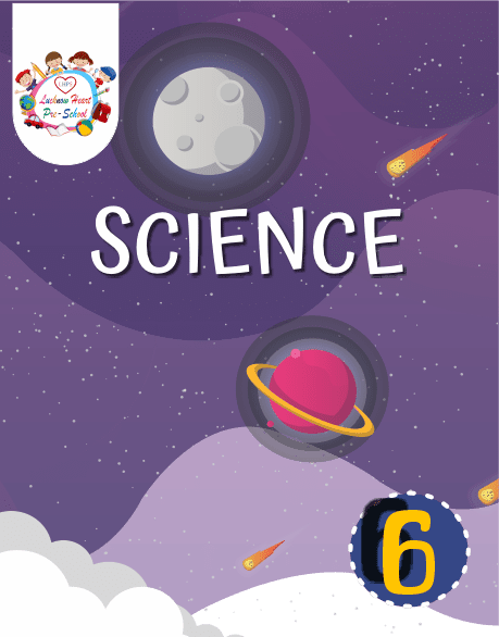 Science-6.png Science - VI - Image 1